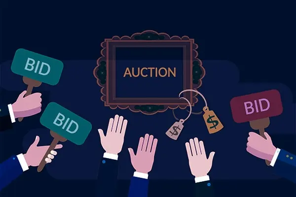  Cricket Auction Bidding Process - playerbids.com